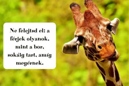Vicces esküvői beszéd a nagy napon